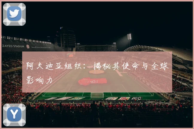 阿夫迪亚组织：揭秘其使命与全球影响力