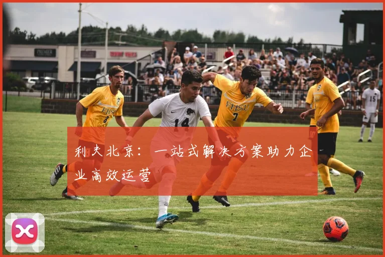 利夫北京：一站式解决方案助力企业高效运营