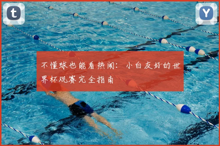 不懂球也能看热闹：小白友好的世界杯观赛完全指南
